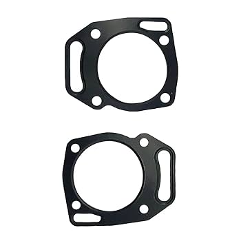 がんばカークタ Amazon.com: Complete Engine Gasket Kit for Briggs & Stratton